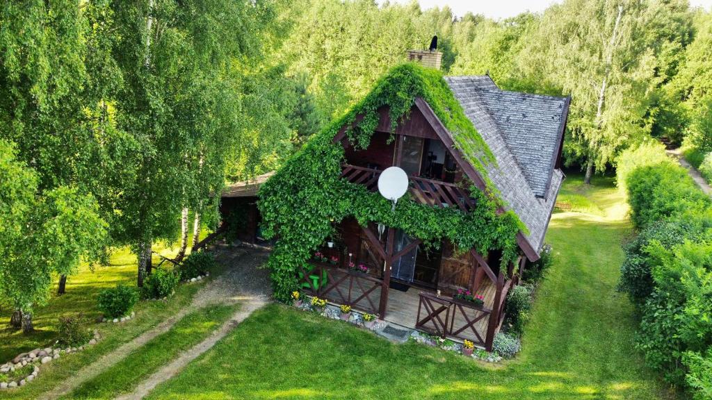 Brzozowy Chillout, Dubeninki