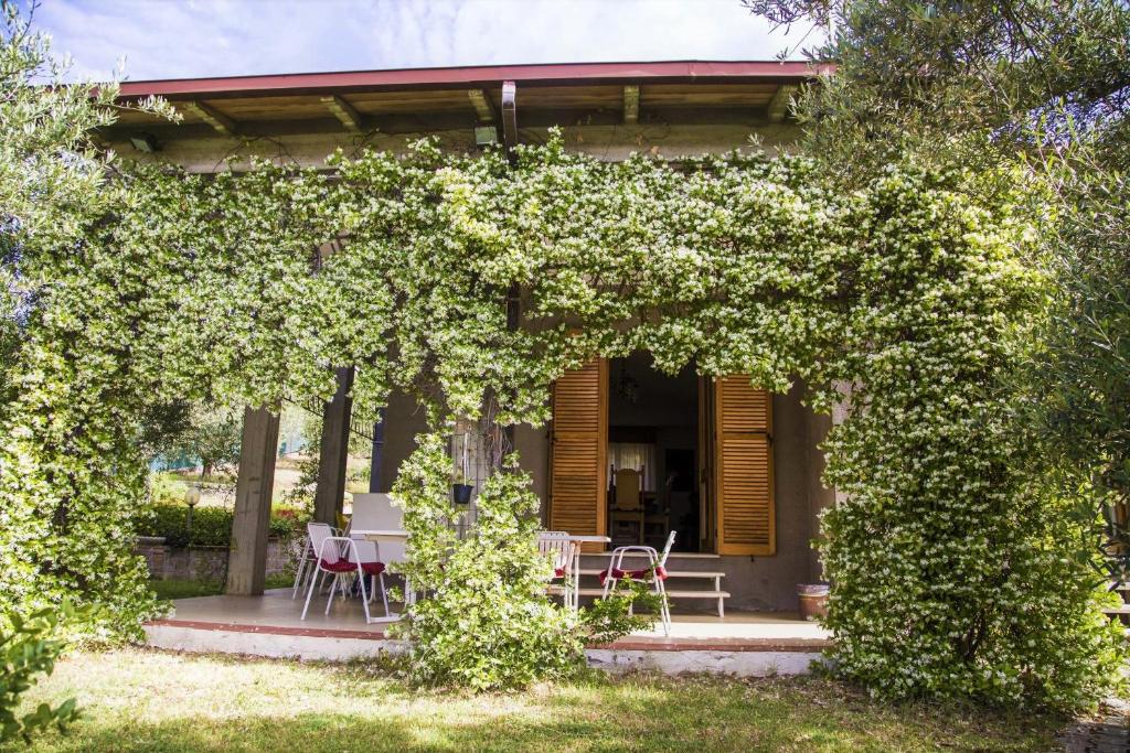 Casa Mia -Per Sentirti a Casa Tua - Giardino, Parcheggio e Jacuzzi - 1
