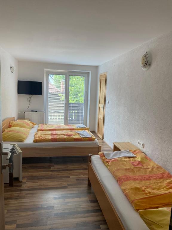 Youth Hostel Nika photo