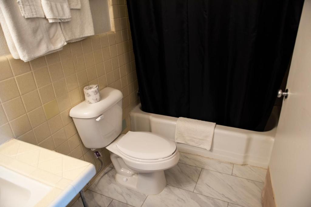 American Inn photo