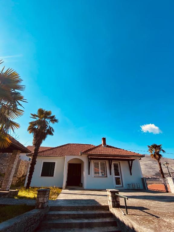 Vila Zorka - 1