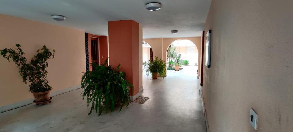 Appartement 4 personnes - Argelès-sur-Mer à 2 pas de la plage - 1