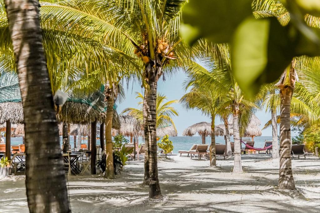 Zomay Beachfront Holbox - 4