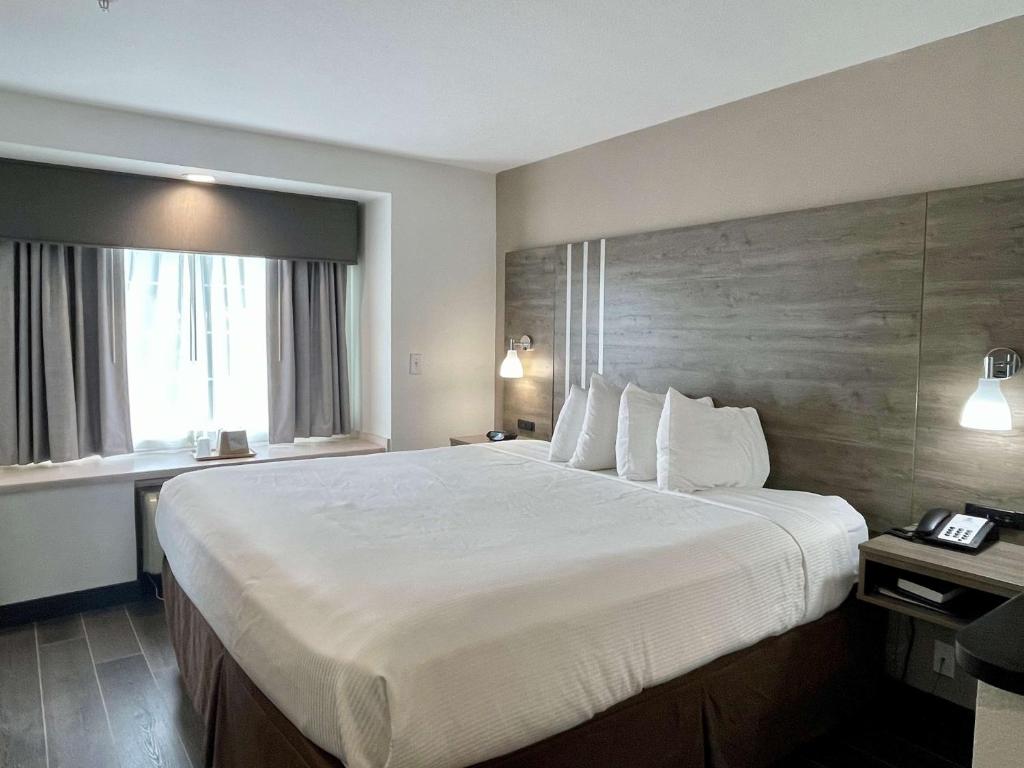 Best Western Roanoke Inn & Suites 客室