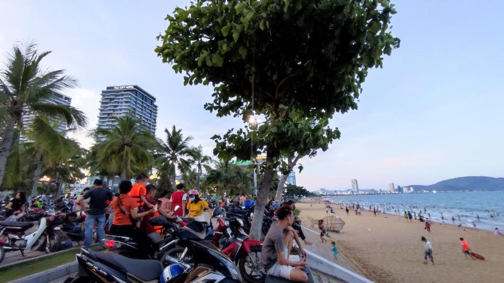 FLC sea Tower phong tu 6 đen 12 nguoi photo