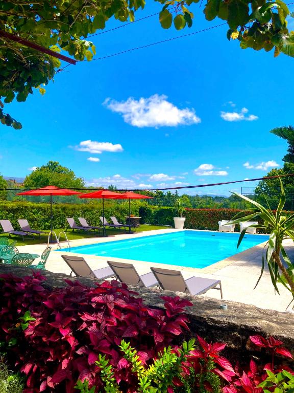 Quinta Dom Sapo - Agroturismo photo