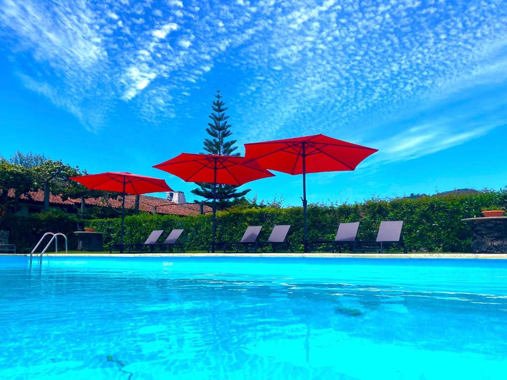 Quinta Dom Sapo - Agroturismo photo