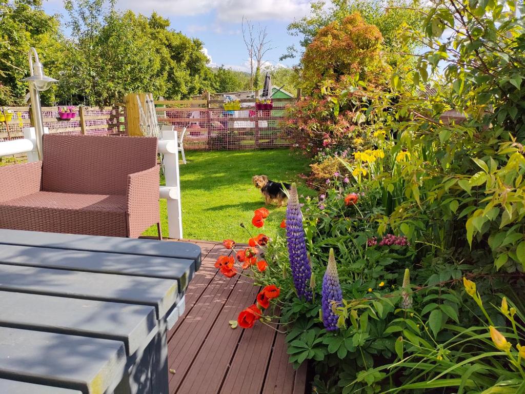 Apple Cottage, Gwaun-Cae-Gurwen photo 5