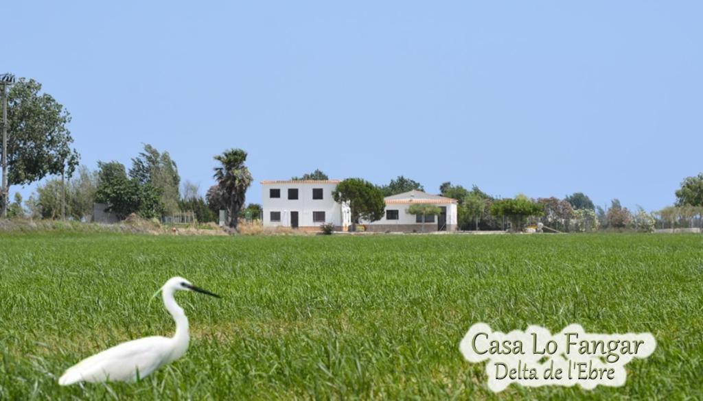Casa Lo Fangar - Delta de l'Ebre C3 - 2