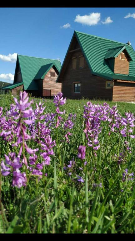 Mountain Soul Rest - 5