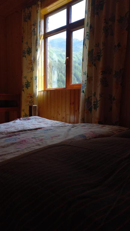 Elisabeth's Guest House photo