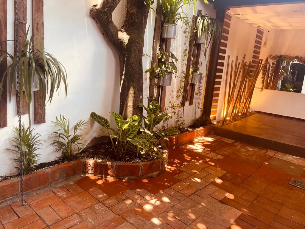 Casa Hotel Santa Lucia photo