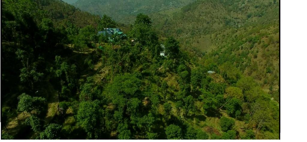 Oak hill homestay — Hotel in Nehar Pab