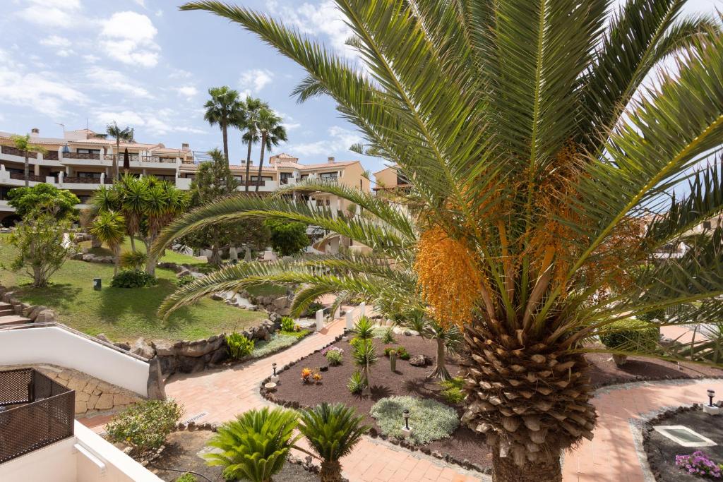 Oceanfront Tenerife South Abatros 254 - 4