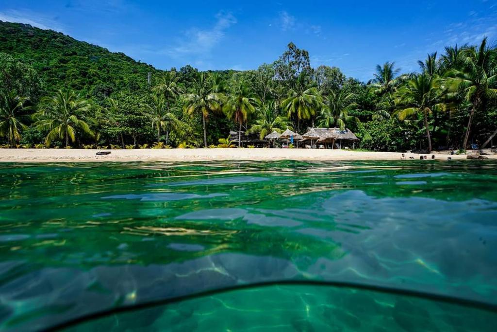 Monkey Homestay & Bar