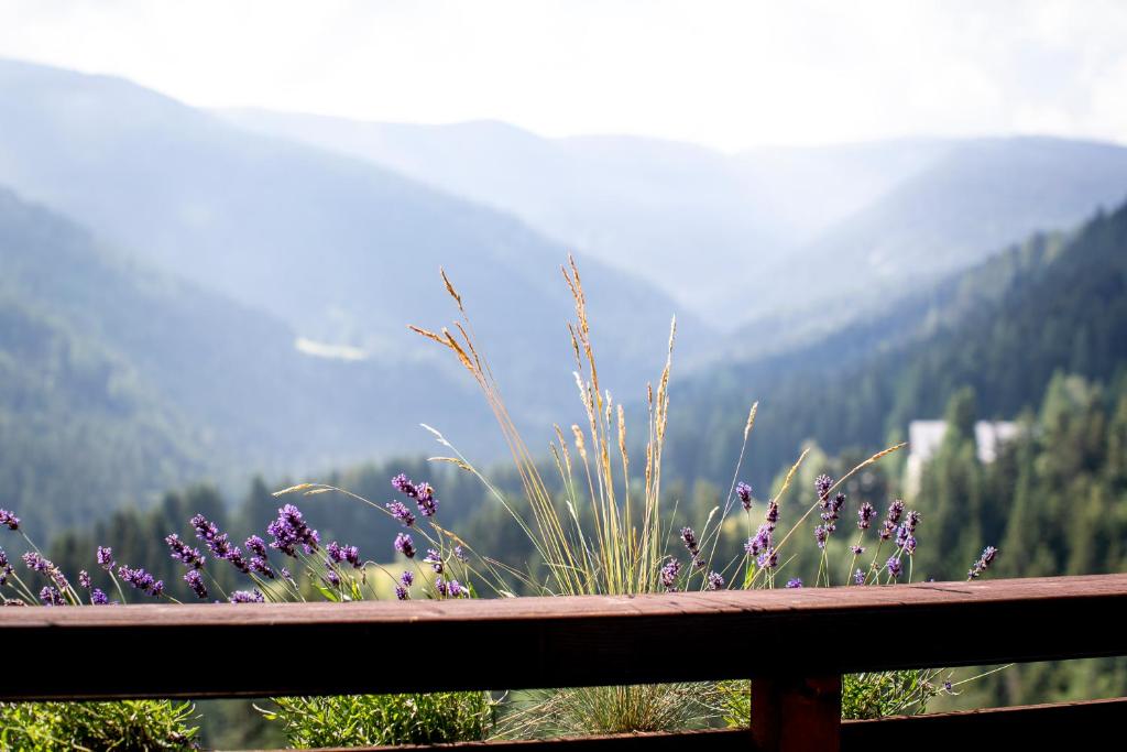Bergblick Ruhe und Aussicht auf 1100m - 2