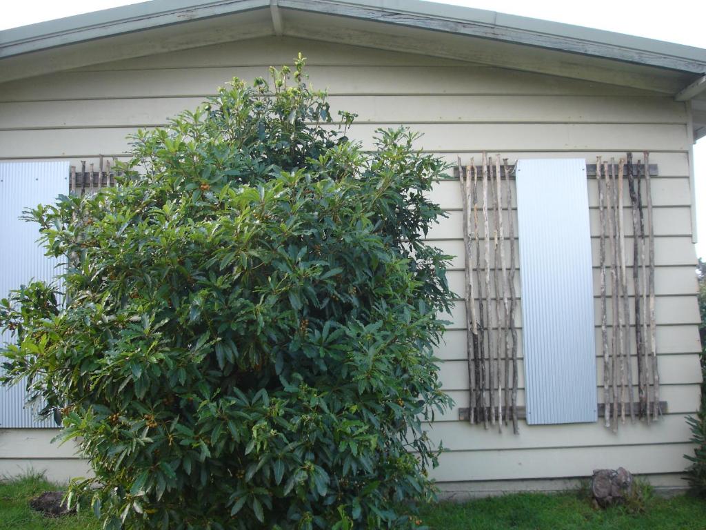 ทัศนียภาพภายนอกโรงแรม