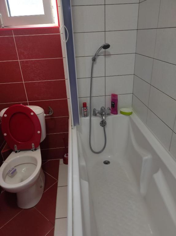 Guesthouse Djacic - 5