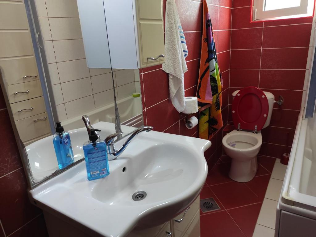 Guesthouse Djacic - 2