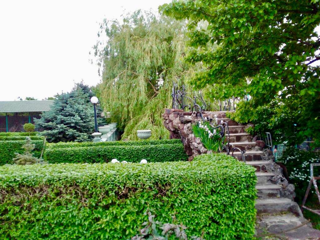 Luxury Guest House 29 photo