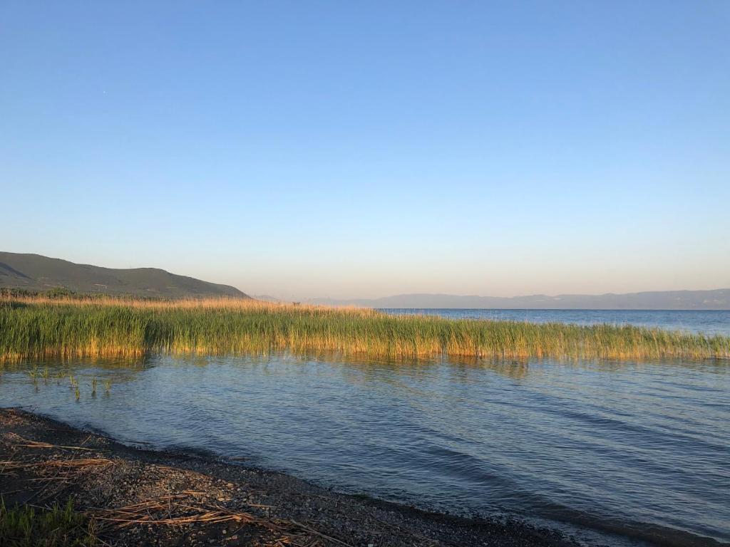 Home on Iznik Lake with its own Private Beach, Bursa