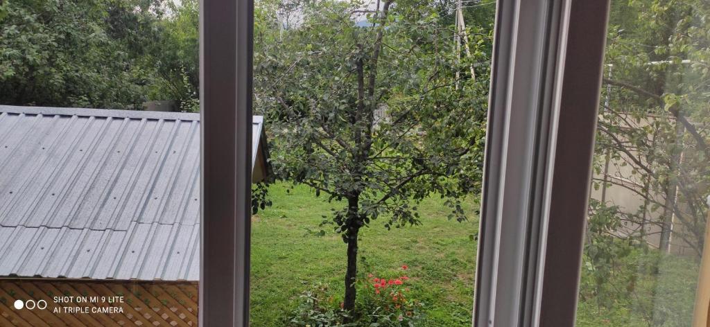 Gabala Villa(House) Samir photo