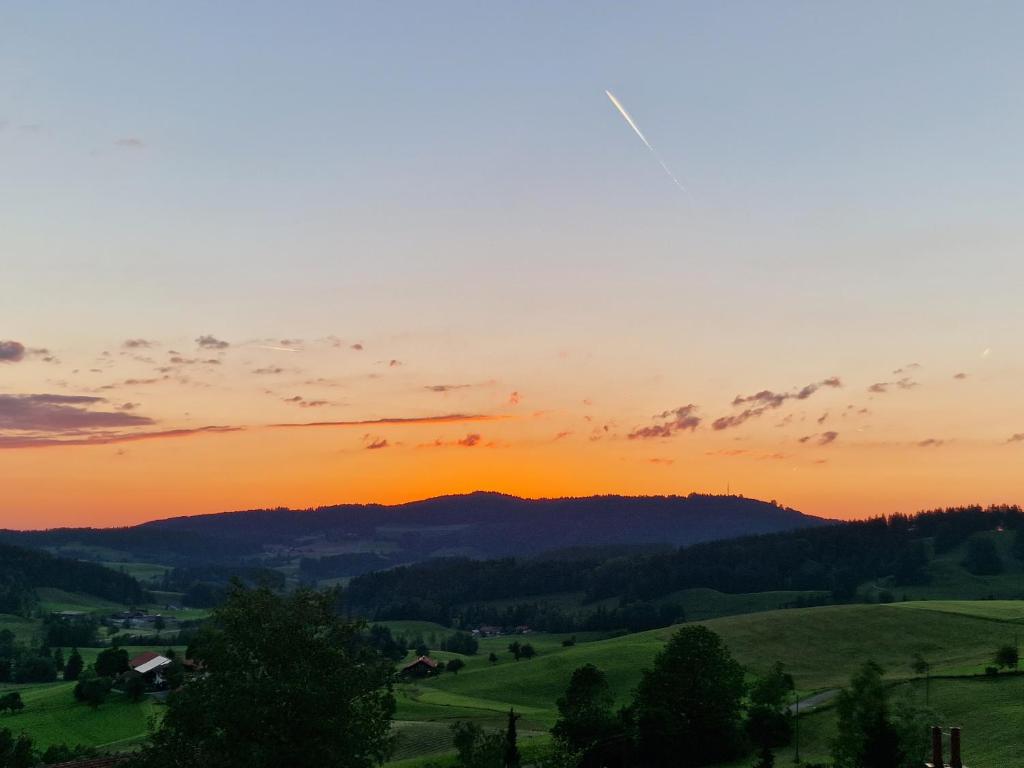 Allgäuer Ausblick - 5