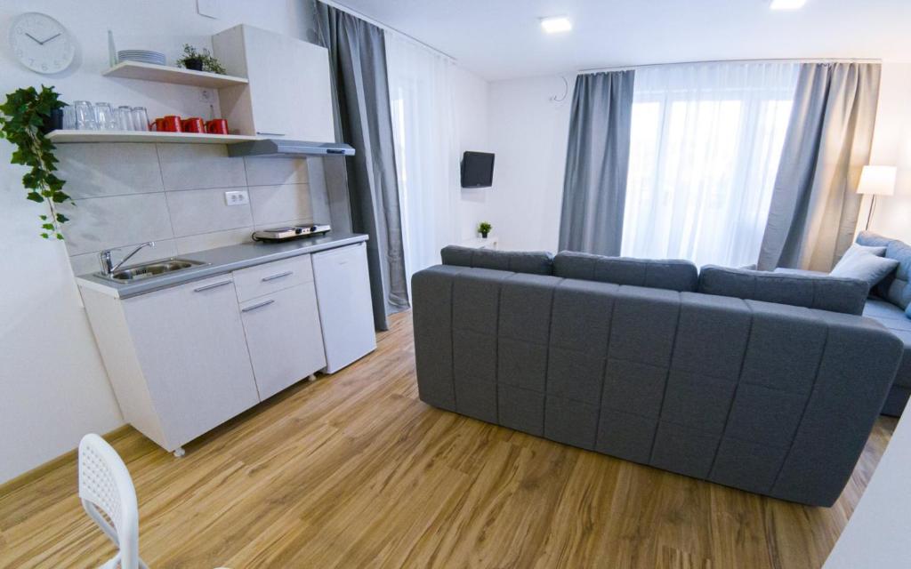 Milutinn-Visterija - 4
