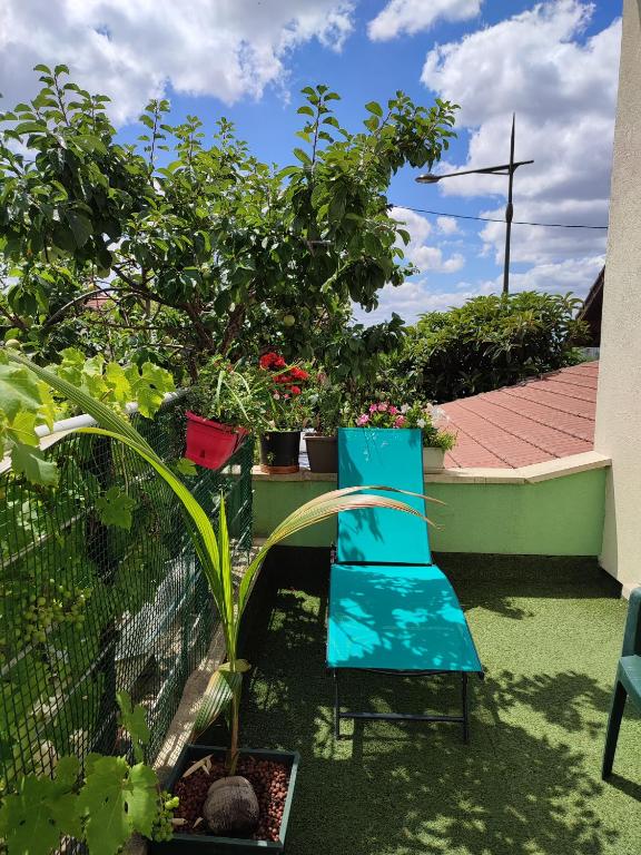 Logement calme et ensoleille dans maison de ville photo