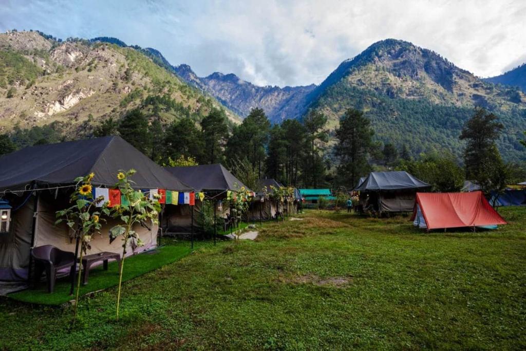 Odyssey Stays Parvati Woods Camps photo