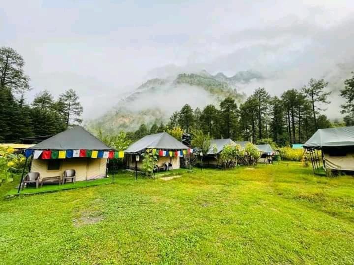 Odyssey Stays Parvati Woods Camps photo