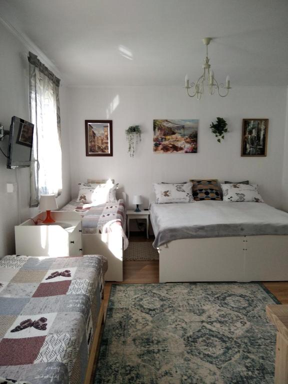ECO-LUX APART with free bicycles end free parking 8