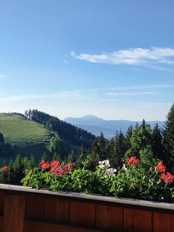 Almchalet Schuster - 4