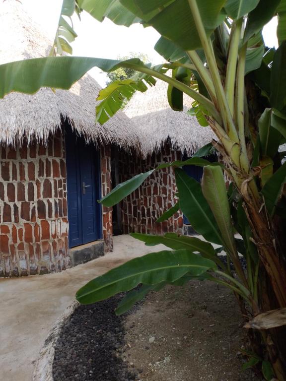 Dragonfly Bed and Breakfast