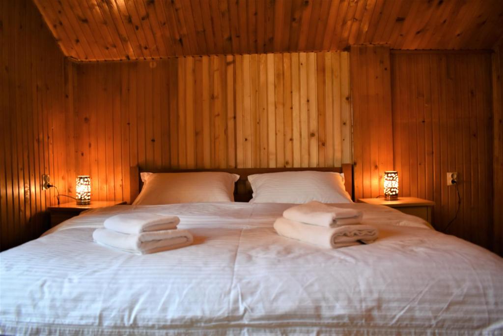 Srna Chalet - 4