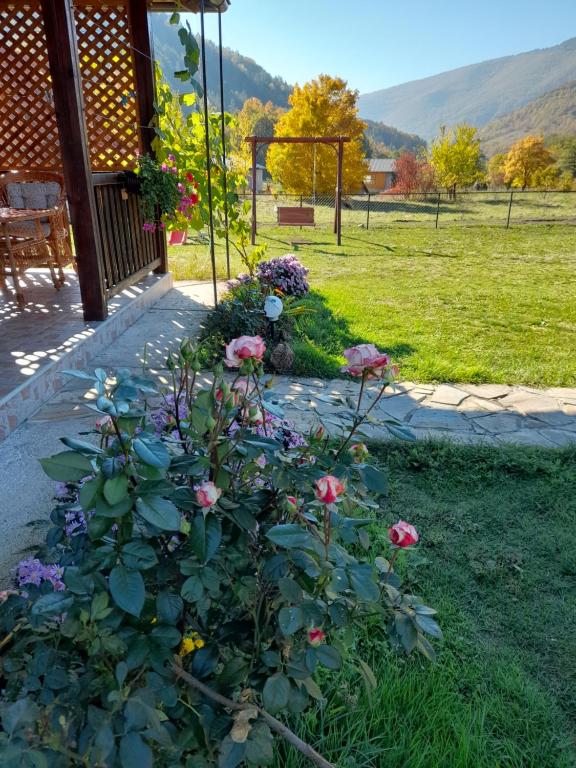 Apartmani Petar — Hotel in Mokra Gora