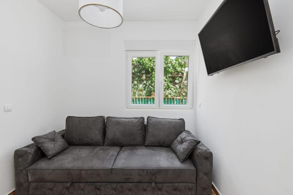Petrovic apartmani photo