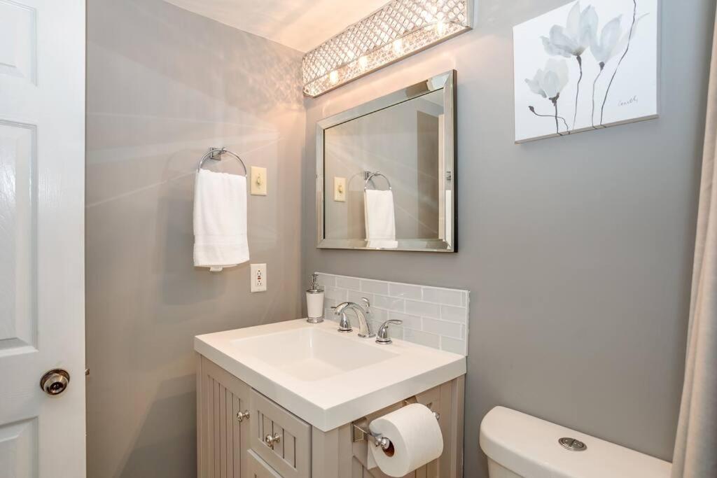 Blue Mountain Luxury Studio photo