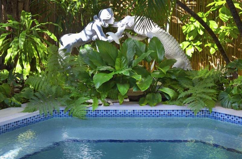 The Mermaid & The Alligator photo