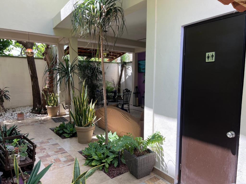 Garden, Hotel Balche in Bacalar