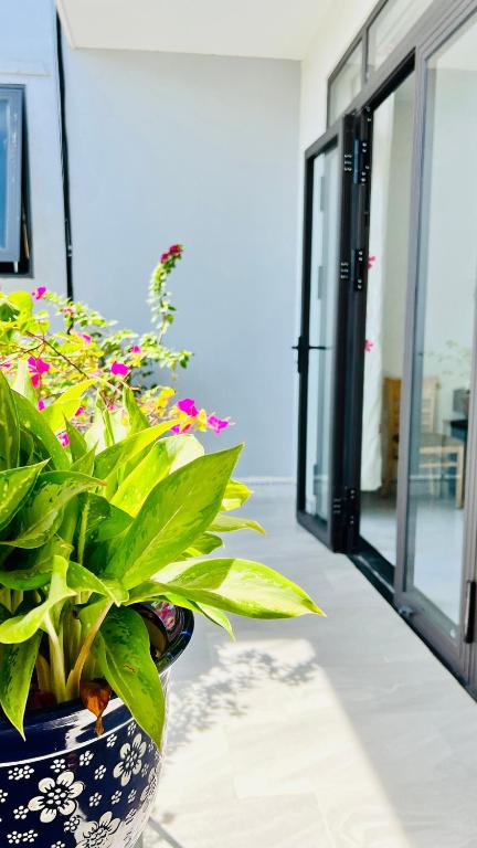 Cô Ba Homestay