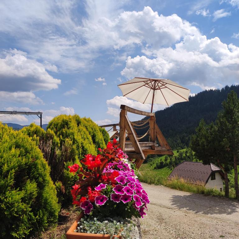 Apartmani Terase photo