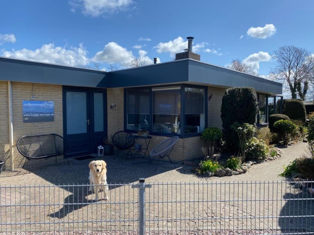 70 qm grosser gepflegter, ruhiger Bungalow, Strandnah mit großen, uneinsehbaren Garten, Terrassenüberdachung, Sint Maartensvlotbrug