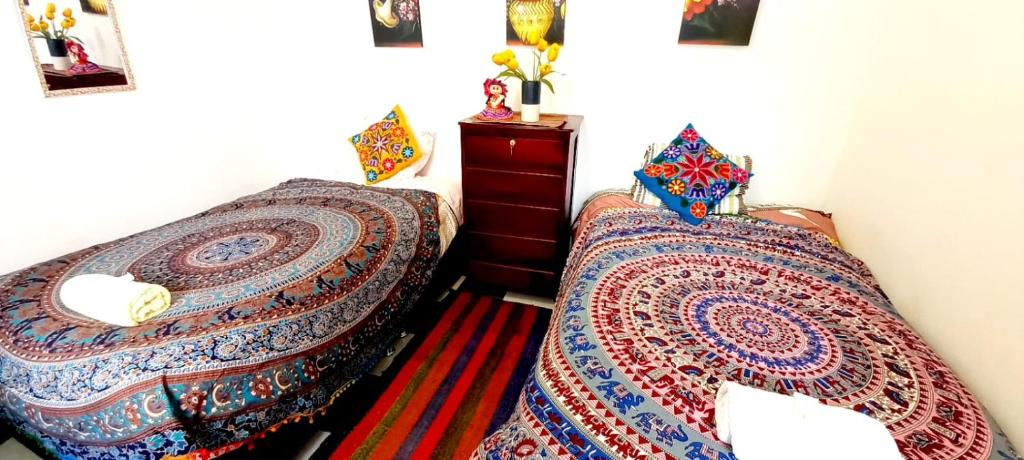 Hostel magico San Blas photo