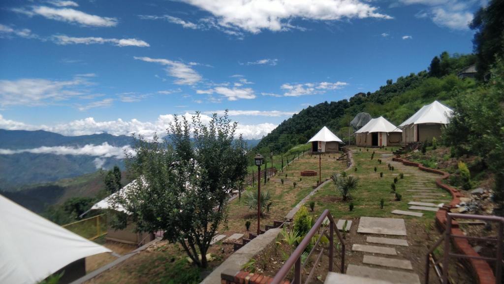 View