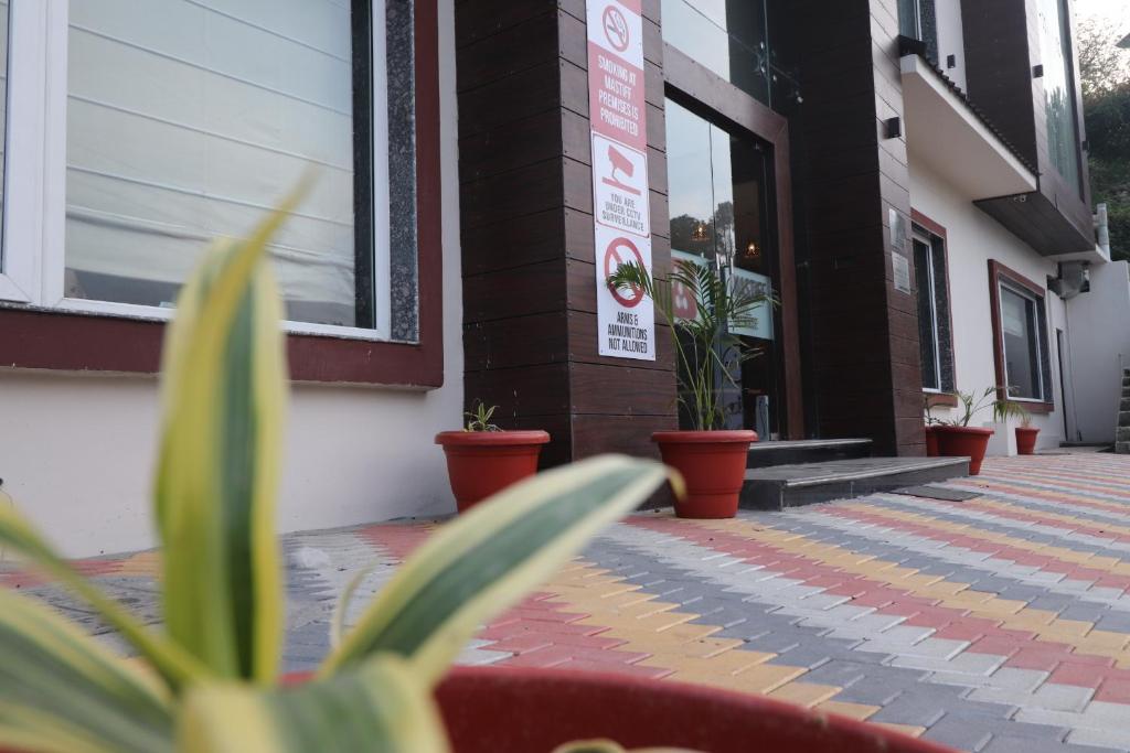Mastiff Hotel Dalhousie photo