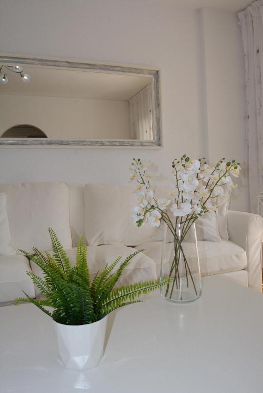 Apartamento IGUAZU - 5