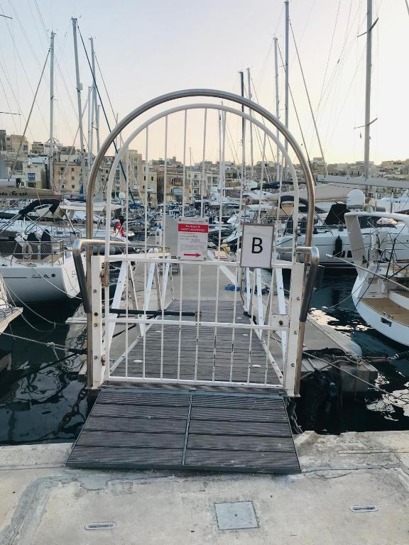 Sea BaronIV "BedsonBoat" photo
