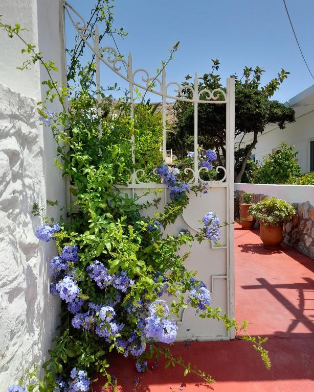 Lilo's Apartments — Hotel in Astypalaia