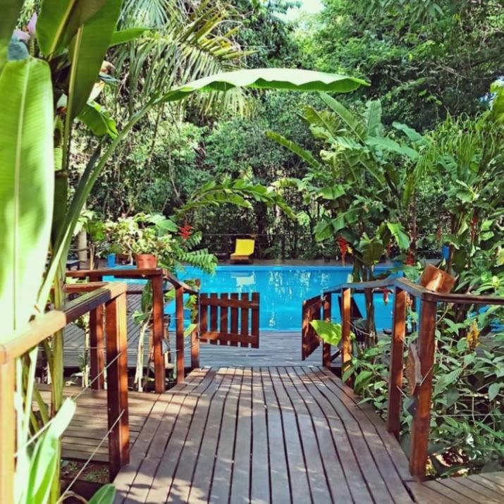 Selva de Laurel photo